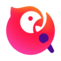 能用网页上推特但不能用app