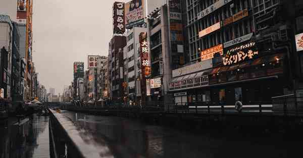 梯子下载