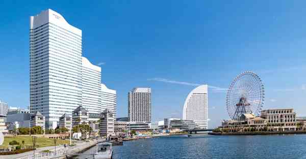 手机p站登录方法2023