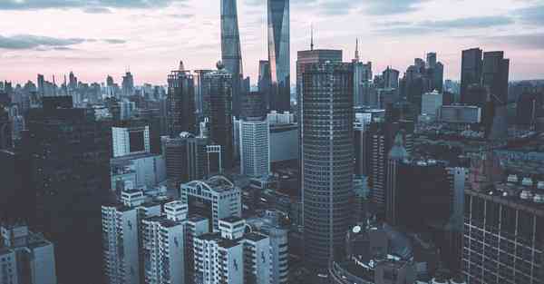 网桥代理大师